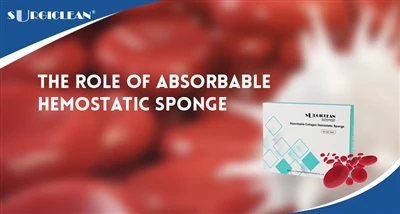 O papel da esponja hemostática absorvível